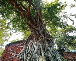 Guided tour Seven Countries Ayutthaya from Pattaya, Bangkok photo 125