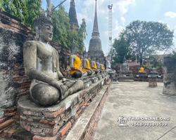 Guided tour Seven Countries Ayutthaya from Pattaya, Bangkok photo 141