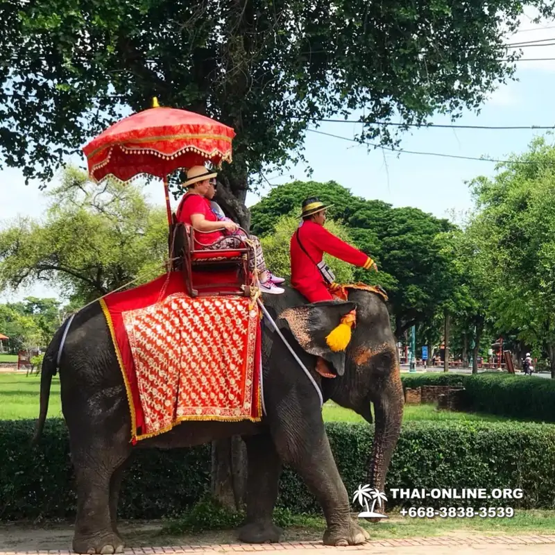 Ayutthaya excursion Seven Countries from Pattaya and Bangkok photo 117