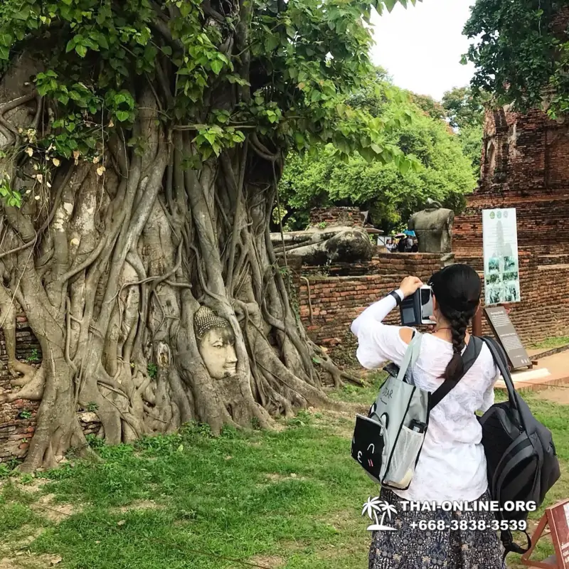 Guided tour Seven Countries Ayutthaya from Pattaya, Bangkok photo 107