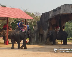 Thailand Pattaya elephant rides at Elephant Village or Camp photo 84