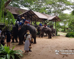 Thailand Pattaya elephant rides at Elephant Village or Camp photo 30