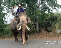 Thailand Pattaya elephant rides at Elephant Village or Camp photo 50