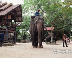 Thailand Pattaya elephant rides at Elephant Village or Camp photo 4
