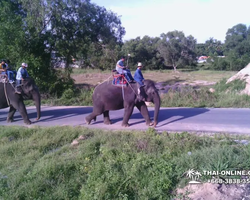 Thailand Pattaya elephant rides at Elephant Village or Camp photo 72