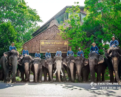 Thailand Pattaya elephant rides at Elephant Village or Camp photo 15