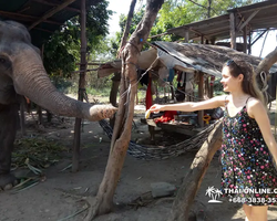 Thailand Pattaya elephant rides at Elephant Village or Camp photo 73
