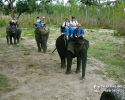 Thailand Pattaya elephant rides at Elephant Village or Camp photo 46