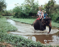 Thailand Pattaya elephant rides at Elephant Village or Camp photo 12