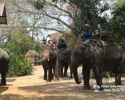 Thailand Pattaya elephant rides at Elephant Village or Camp photo 35