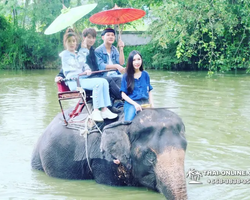 Thailand Pattaya elephant rides at Elephant Village or Camp photo 69