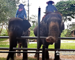 Thailand Pattaya elephant rides at Elephant Village or Camp photo 37