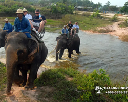 Thailand Pattaya elephant rides at Elephant Village or Camp photo 74