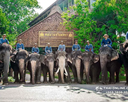 Thailand Pattaya elephant rides at Elephant Village or Camp photo 3