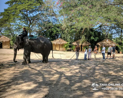 Thailand Pattaya elephant rides at Elephant Village or Camp photo 23