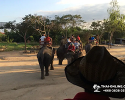Thailand Pattaya elephant rides at Elephant Village or Camp photo 8