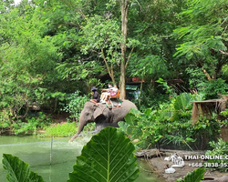 Thailand Pattaya elephant rides at Elephant Village or Camp photo 18