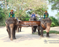 Thailand Pattaya elephant rides at Elephant Village or Camp photo 27