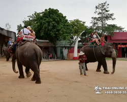 Thailand Pattaya elephant rides at Elephant Village or Camp photo 86