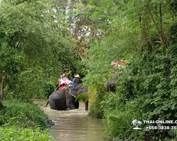 Thailand Pattaya elephant rides at Elephant Village or Camp photo 32