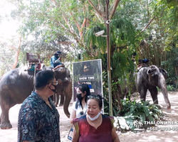 Thailand Pattaya elephant rides at Elephant Village or Camp photo 33