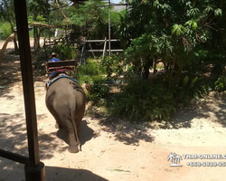 Thailand Pattaya elephant rides at Elephant Village or Camp photo 54