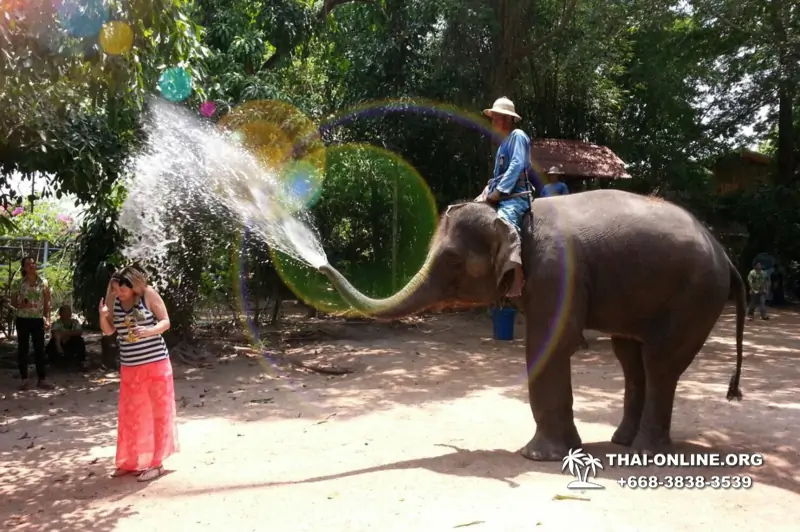 Thailand Pattaya elephant rides at Elephant Village or Camp photo 6