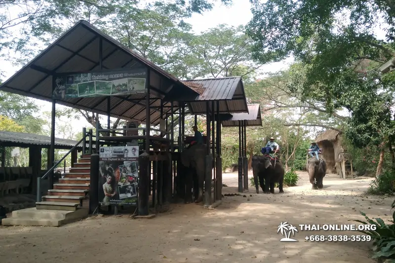Thailand Pattaya elephant rides at Elephant Village or Camp photo 29