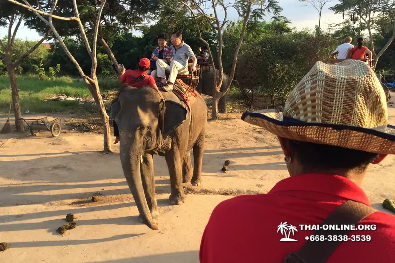 Thailand Pattaya elephant rides at Elephant Village or Camp photo 75