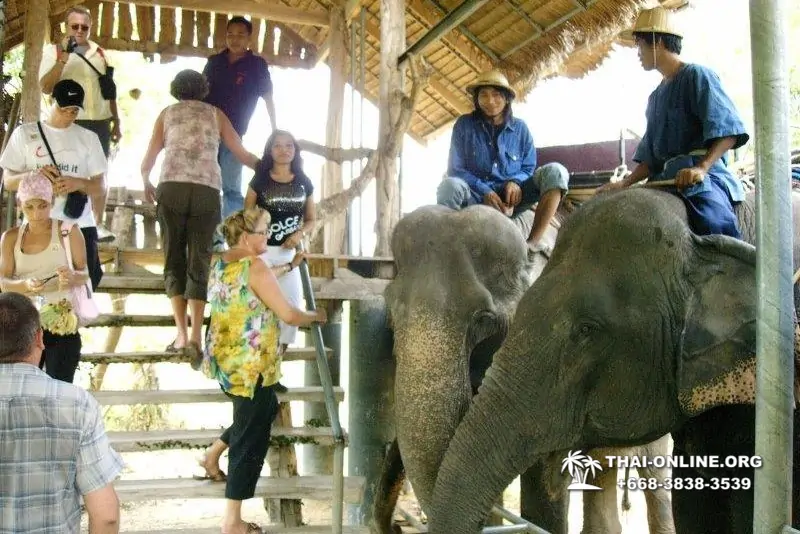 Thailand Pattaya elephant rides at Elephant Village or Camp photo 58