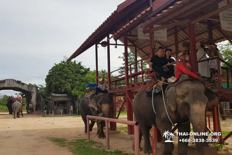 Thailand Pattaya elephant rides at Elephant Village or Camp photo 80