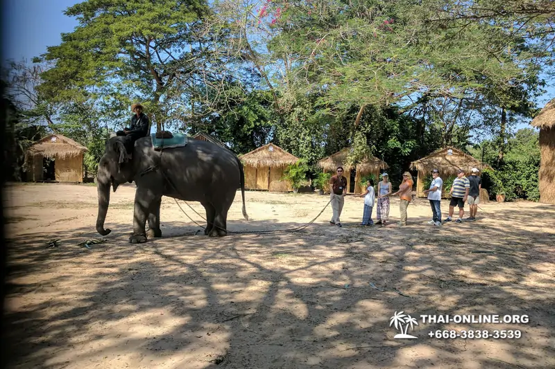 Thailand Pattaya elephant rides at Elephant Village or Camp photo 23