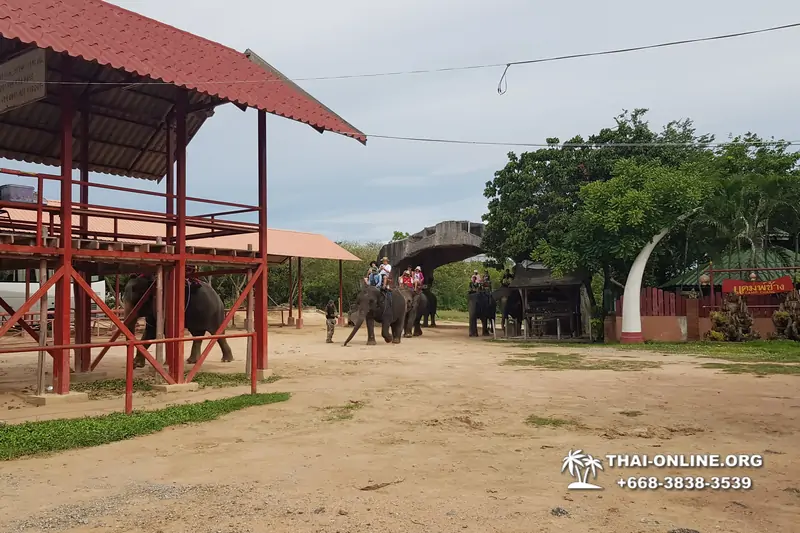 Thailand Pattaya elephant rides at Elephant Village or Camp photo 55
