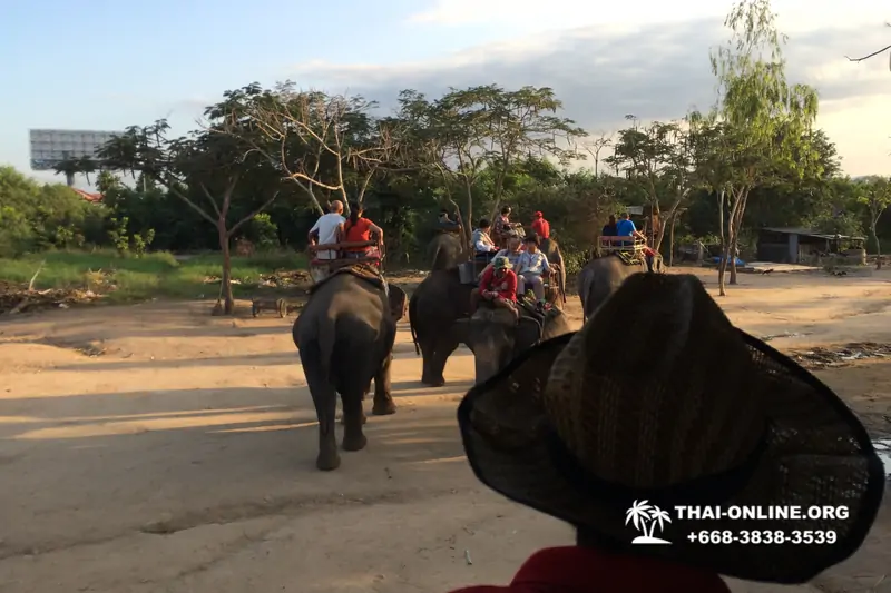 Thailand Pattaya elephant rides at Elephant Village or Camp photo 8