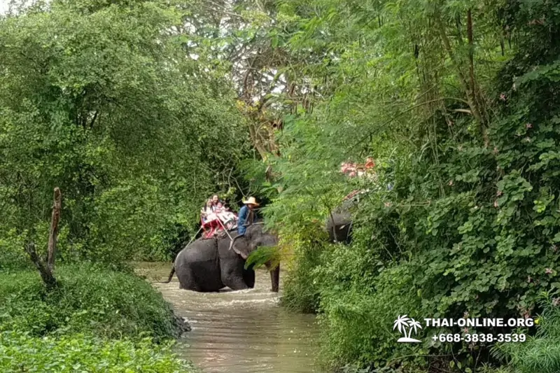 Pattaya Elephant Village and Elephant Camp, Thailand elephant rides - photo 26