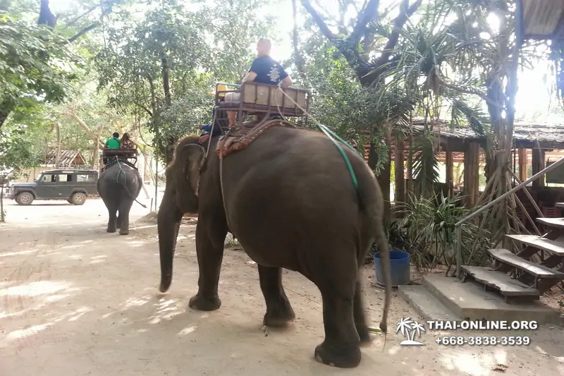 Thailand Pattaya elephant rides at Elephant Village or Camp photo 65
