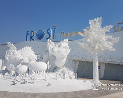 Thailand Pattaya FROST Magical Ice of Siam snow town - photo 68