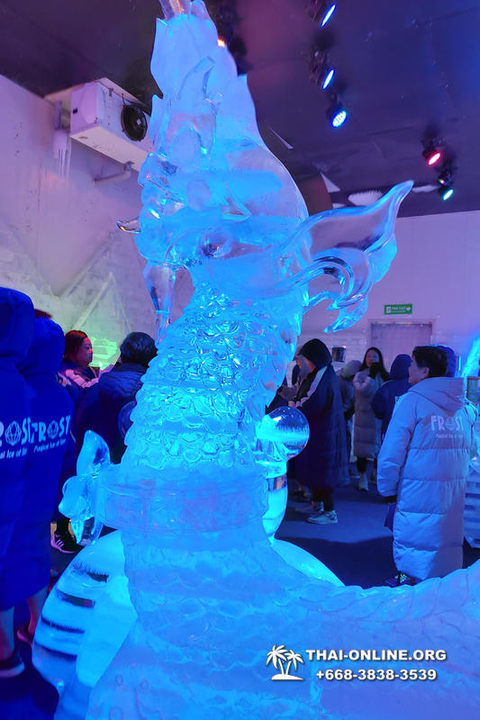 Thailand Pattaya FROST Magical Ice of Siam snow town - photo 28