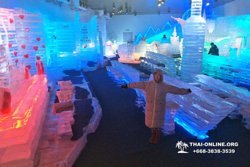 Thailand Pattaya FROST Magical Ice of Siam snow town - photo 18