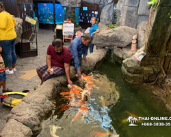 Pattaya Underwater World oceanarium of Thailand tour photo - 24