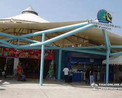 Pattaya Underwater World oceanarium of Thailand tour photo - 97