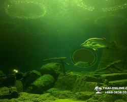 Pattaya Underwater World oceanarium of Thailand tour photo - 124