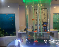 Pattaya Underwater World oceanarium of Thailand tour photo - 99