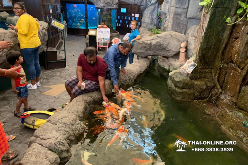 Pattaya Underwater World oceanarium of Thailand tour photo - 24