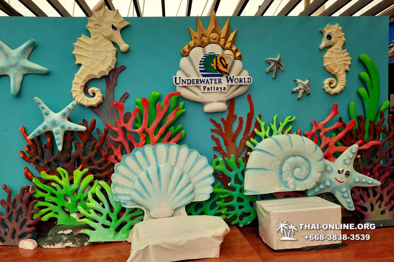 Pattaya Underwater World oceanarium of Thailand tour photo - 18