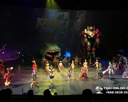 Pattaya's Hybrid show Kaan, evening shows in Thailand - photo 31