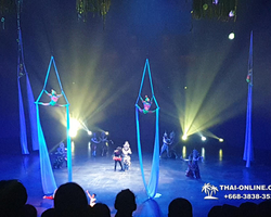 Pattaya's Hybrid show Kaan, evening shows in Thailand - photo 21