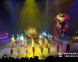 Pattaya's Hybrid show Kaan, evening shows in Thailand - photo 35