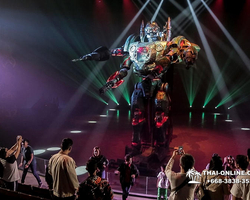 Pattaya's Hybrid show Kaan, evening shows in Thailand - photo 105
