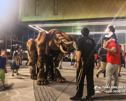 Pattaya's Hybrid show Kaan, evening shows in Thailand - photo 69
